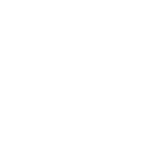 Internal Shuttle Bus: